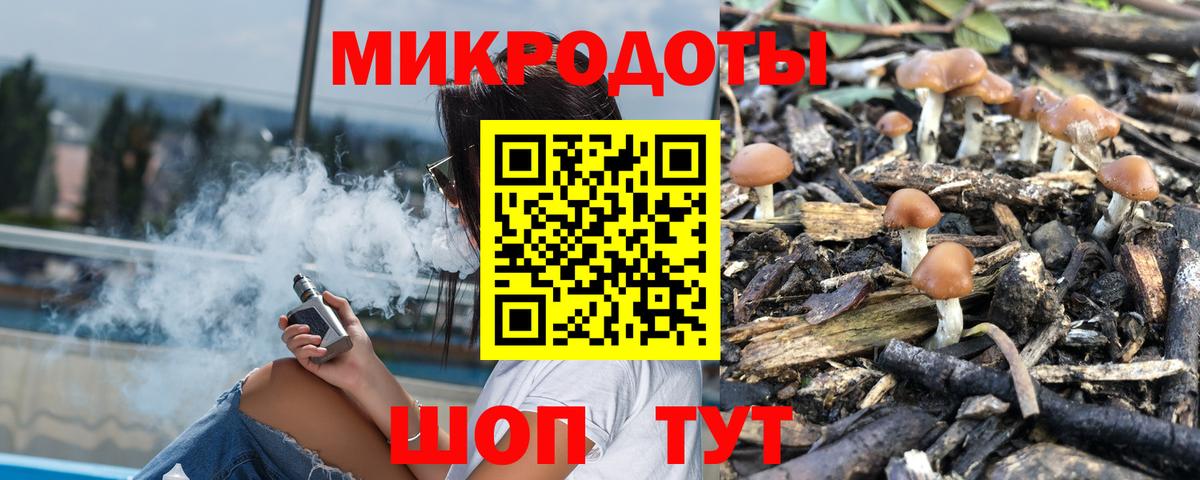 Галлюциногенные грибы мицелий Владикавказ